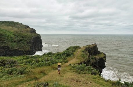 puntos de partida 11th edition pdf free