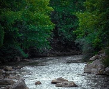 skippyjon jones book pdf