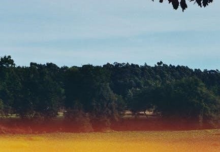 honeywell pro 3000 installation guide