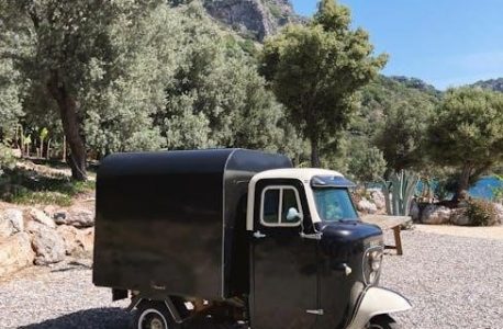 ap u.s. history amsco pdf