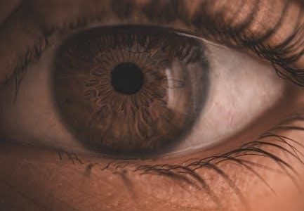 human anatomy and physiology laboratory manual 13th edition pdf