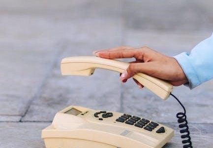 magnavox d2935 user manual