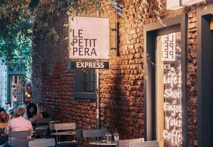 le petit prince in english pdf