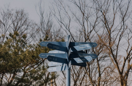 season of discovery warlock guide