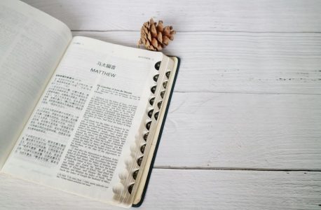 john macarthur bible commentary pdf