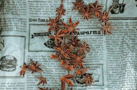 ave verum mozart pdf