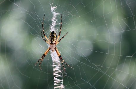 alabama pattern jury instructions civil