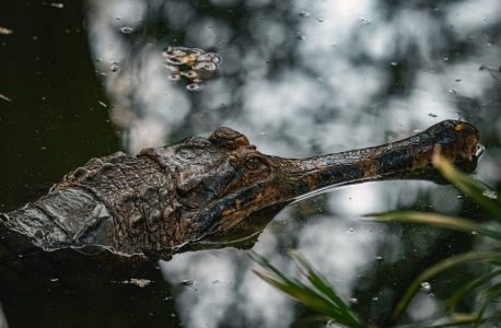 nfpa 921 pdf free download