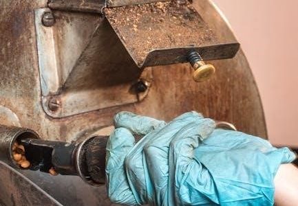 oster 22 qt roaster oven manual