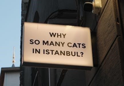 us history guiding questions