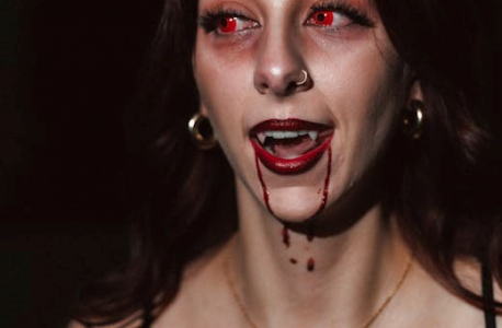 the southern book club’s guide to slaying vampires summary