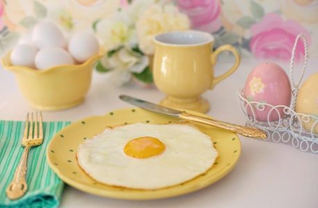 elite gourmet egg cooker instructions