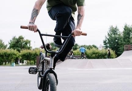bmx frame size guide