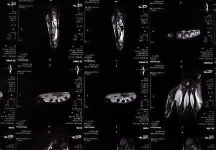 lab manual for human anatomy and physiology