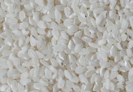 kambrook rice cooker instructions pdf